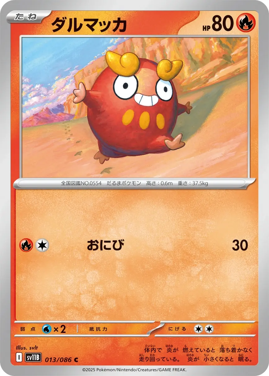 13_large.webp